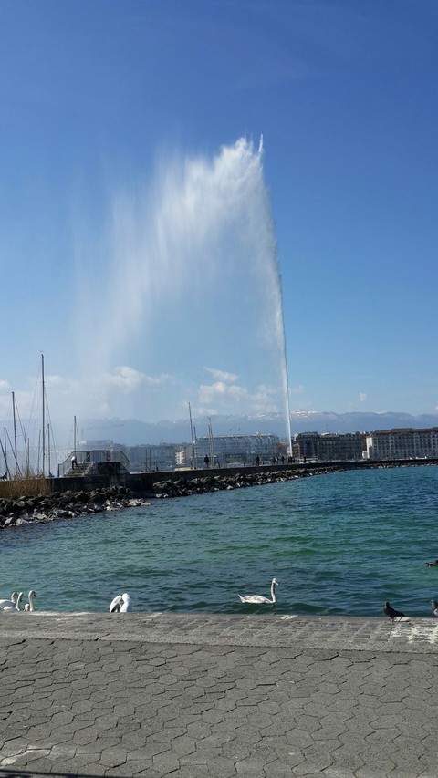 Geneve
