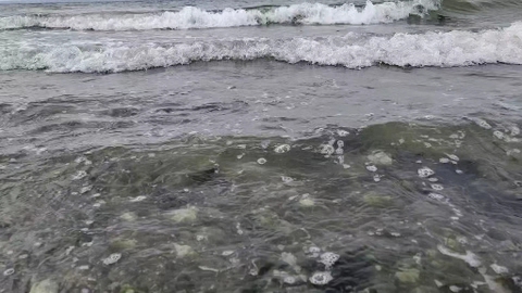 Slo-Mo Tides