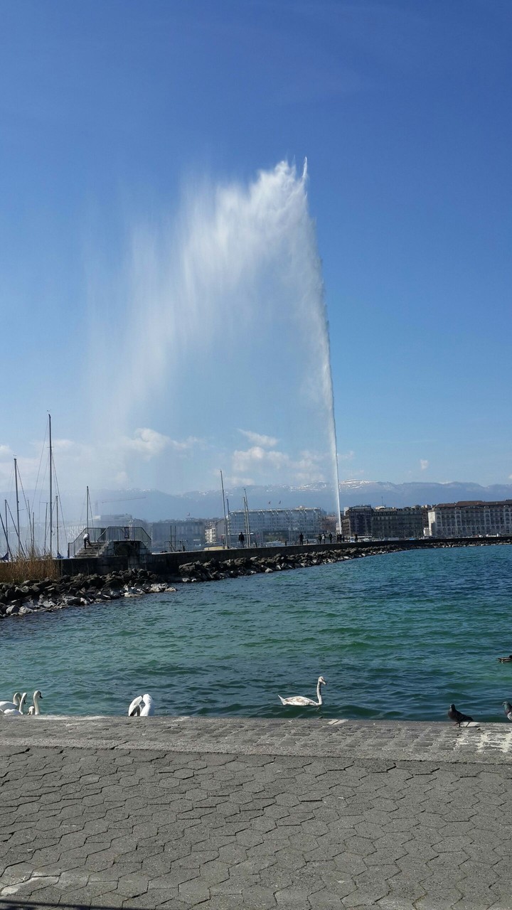 Geneve