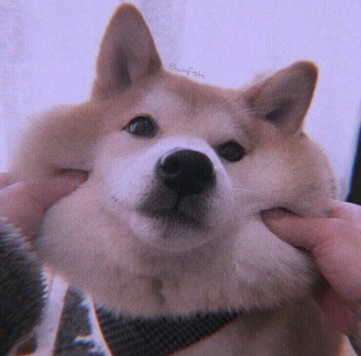 cute
