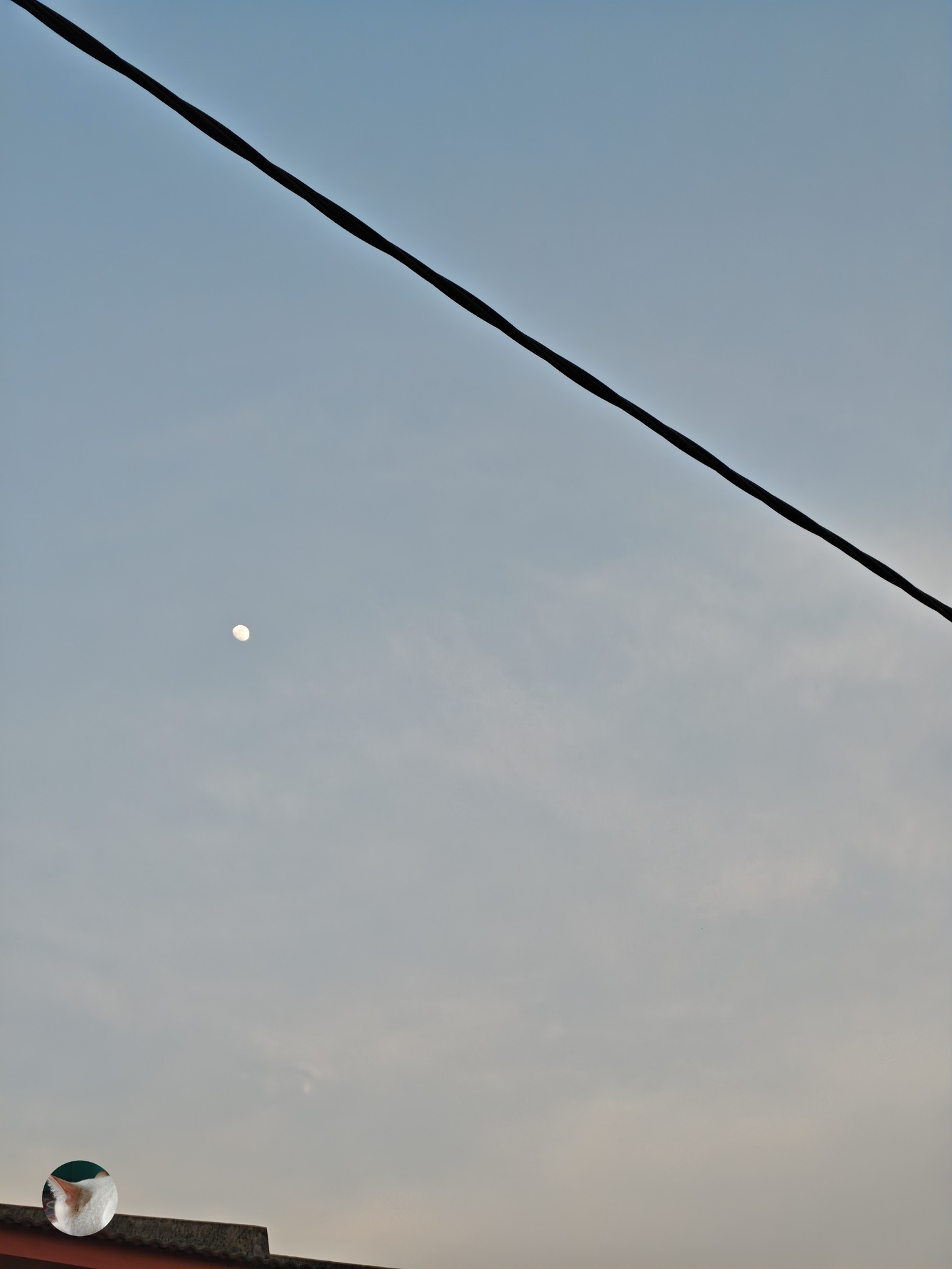 sfondi electricity, Wire
