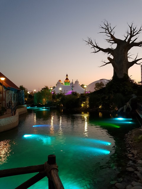 magic tree