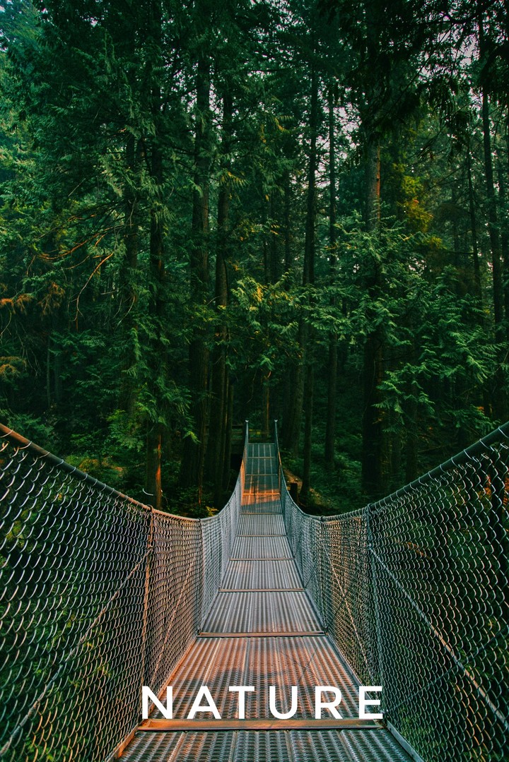 nature