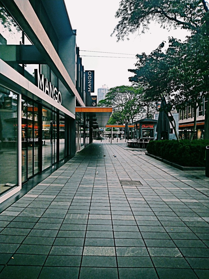 Rotterdammornings