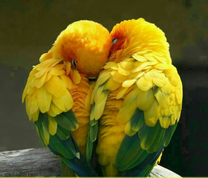 ❤❤