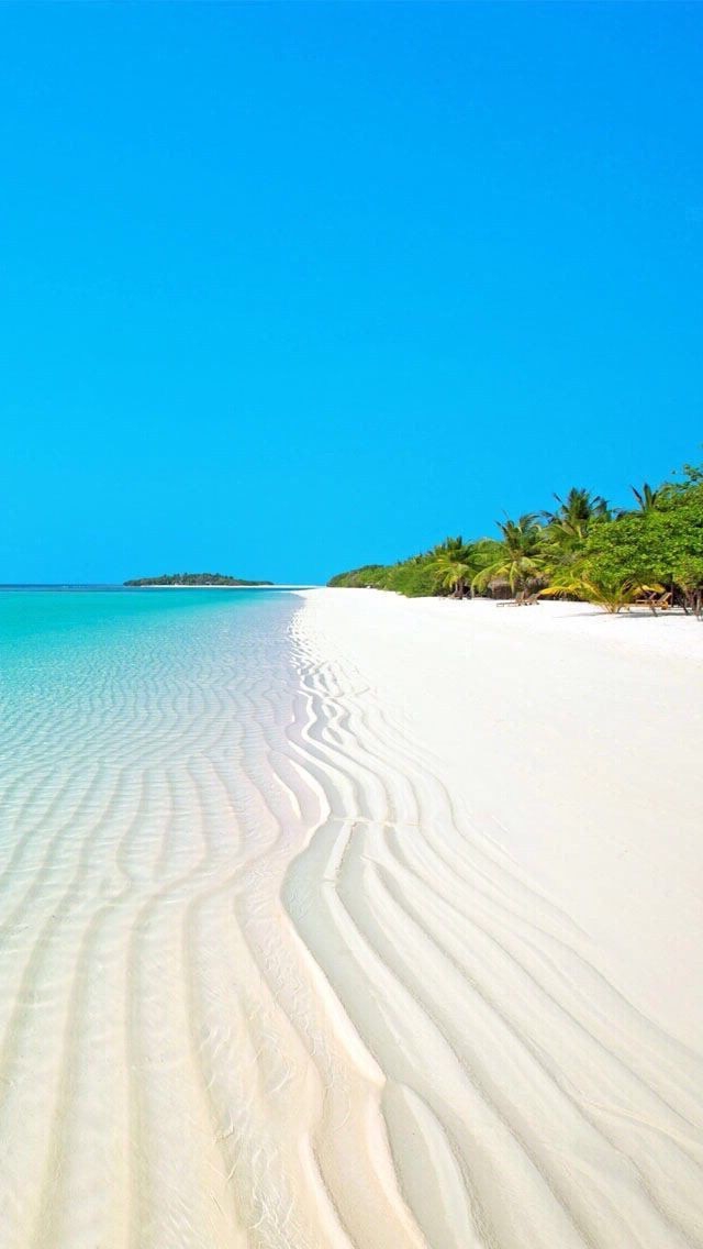 Paradise