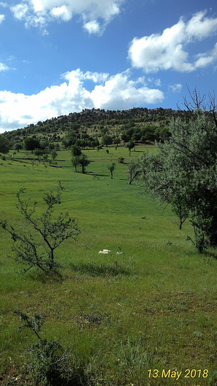 dağ