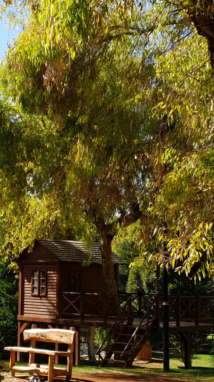 log cabin
