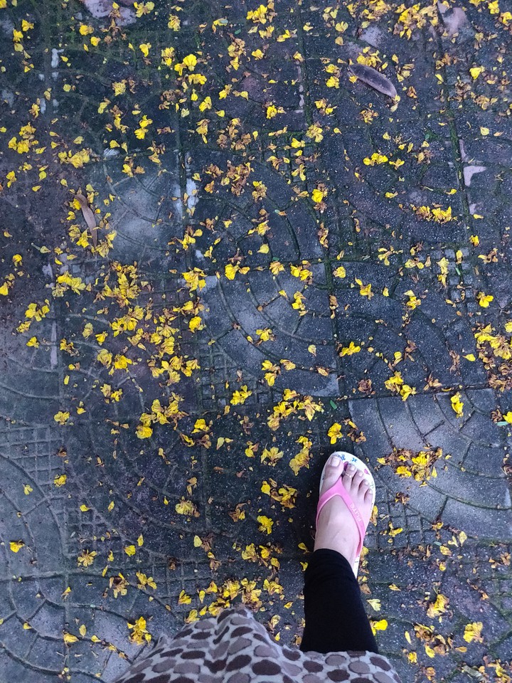 evening walk