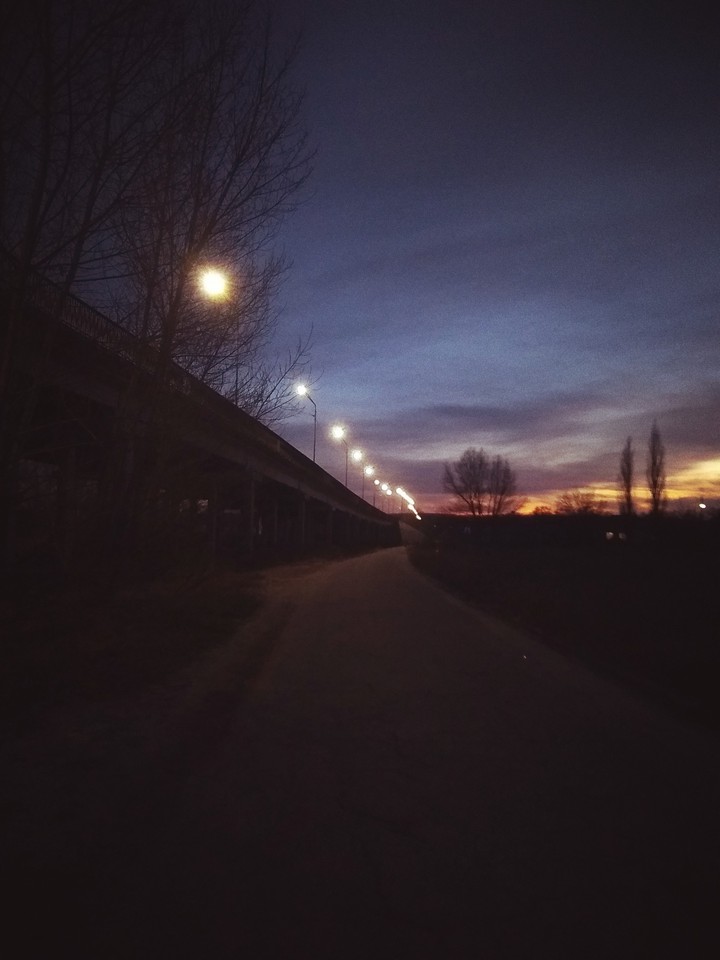 night