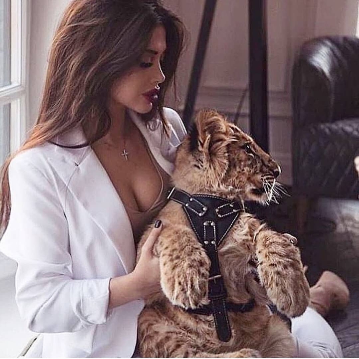 Model