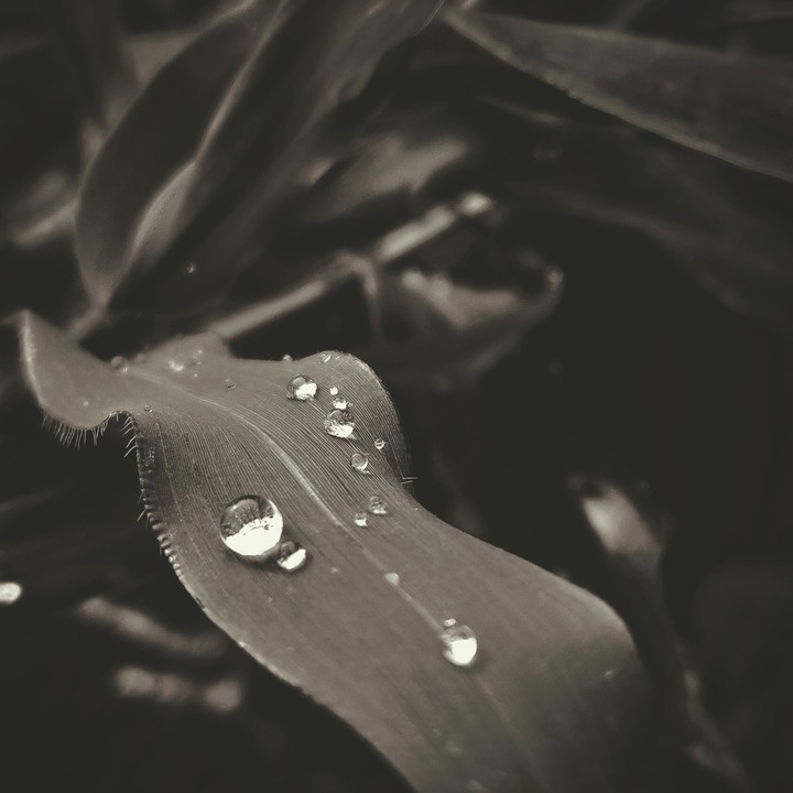 #lovefornature