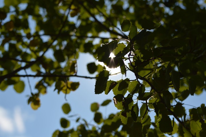 Autumn and sunshine