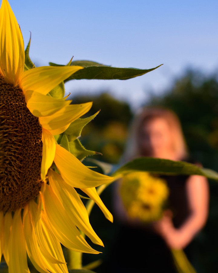 sun