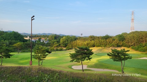 grass, grassland壁紙