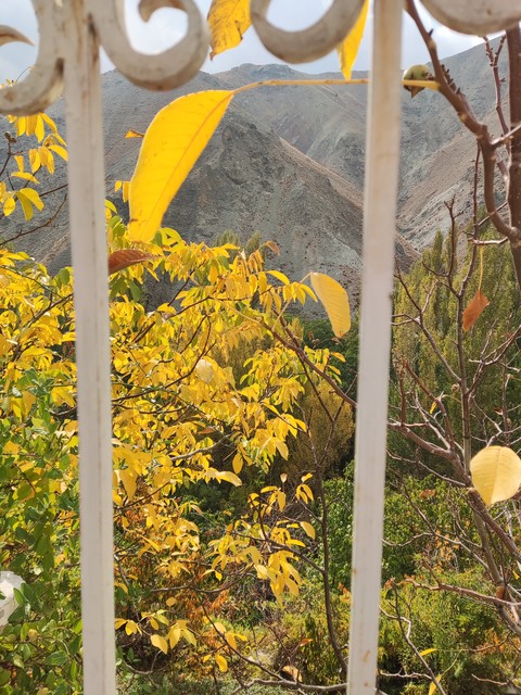 обои Autumn, Fence