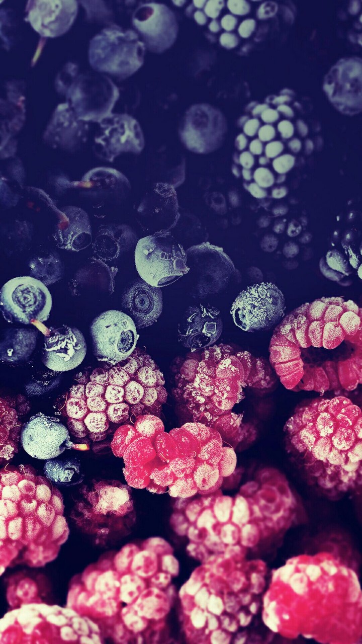 taste of life