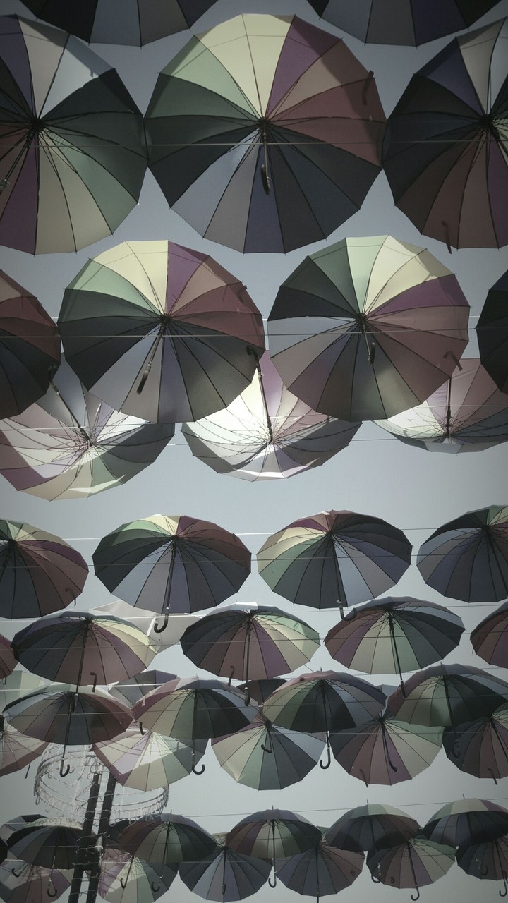 Umbrella