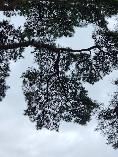 тапети cloud, sky
