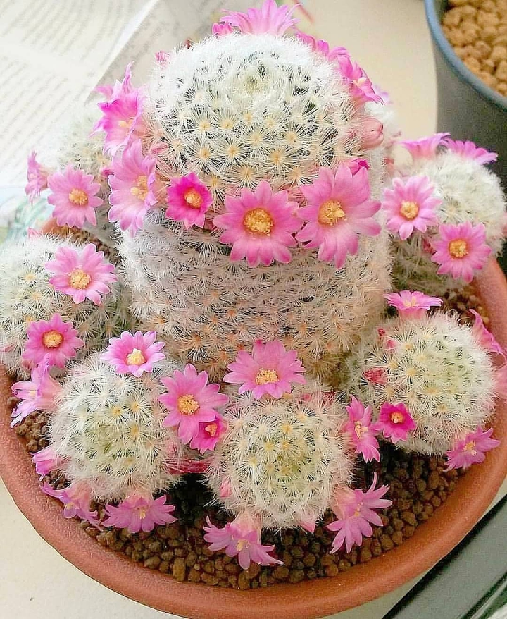 ❤