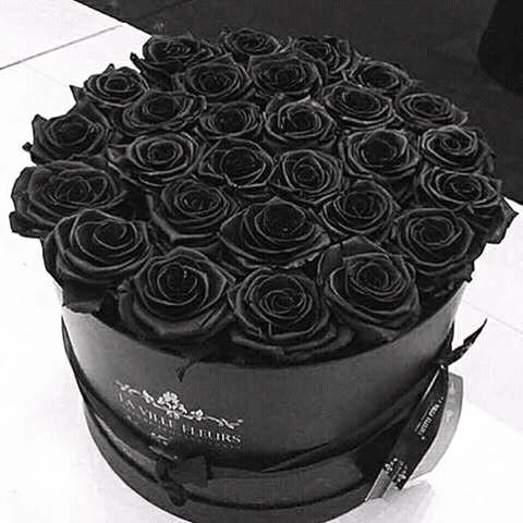 roses black
