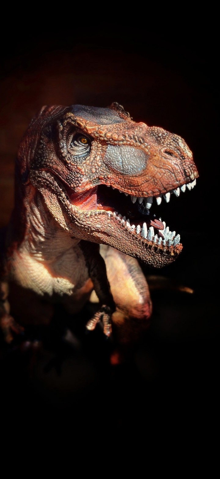 Tyrannosaurus