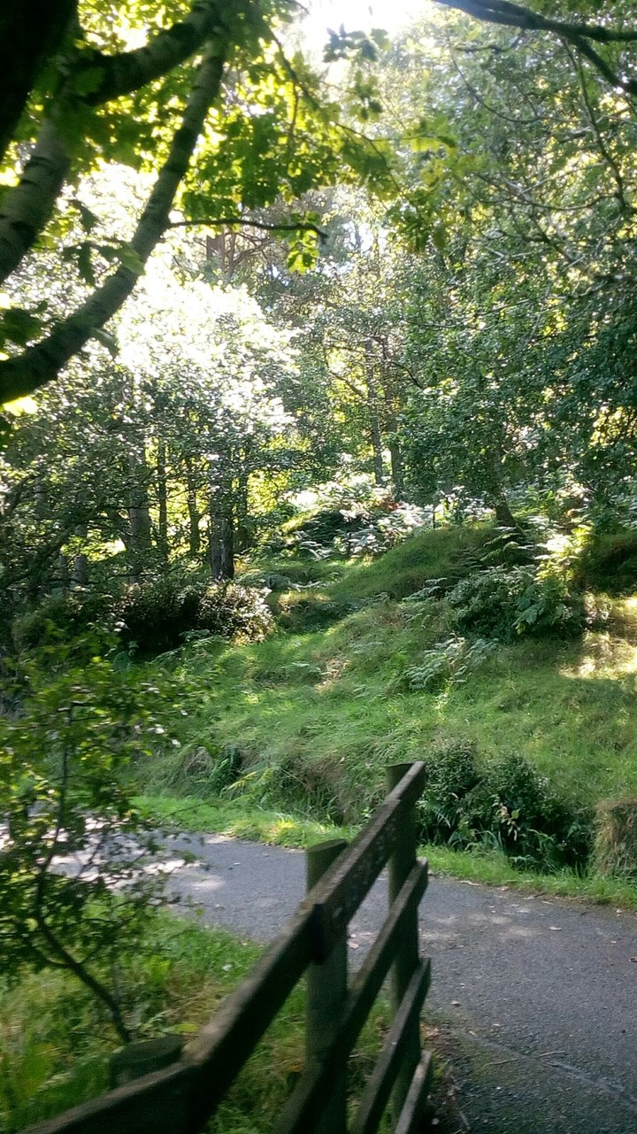 morning ireland
