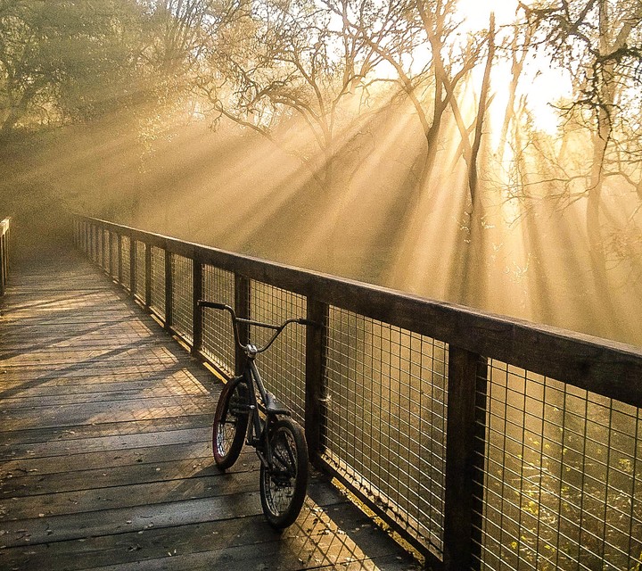 bicycle