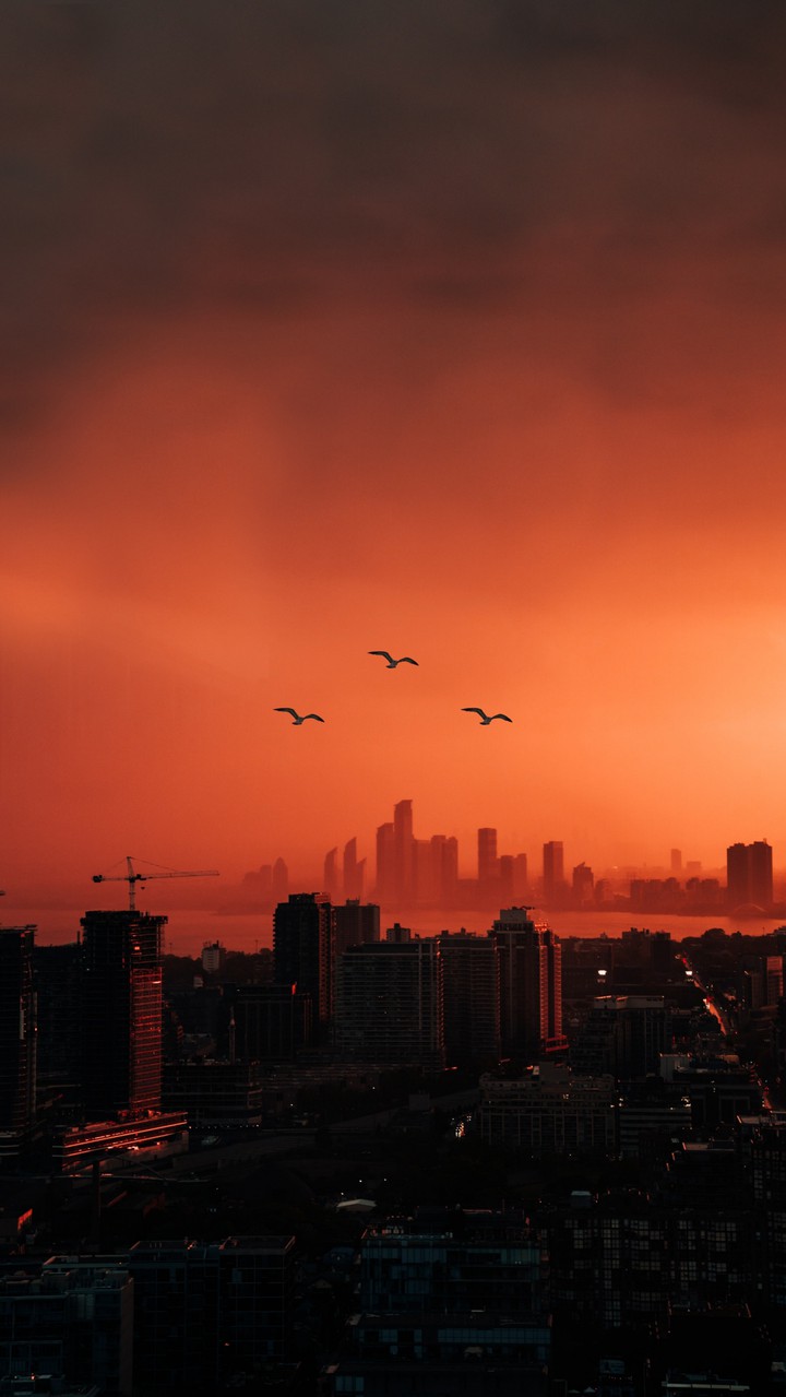 City in quarantine