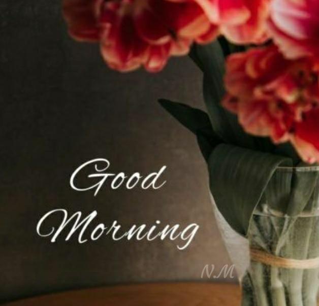 good morning