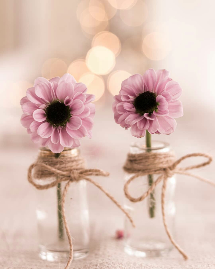 A Beautiful Day, A Wonderful Week Ahead ❤️
