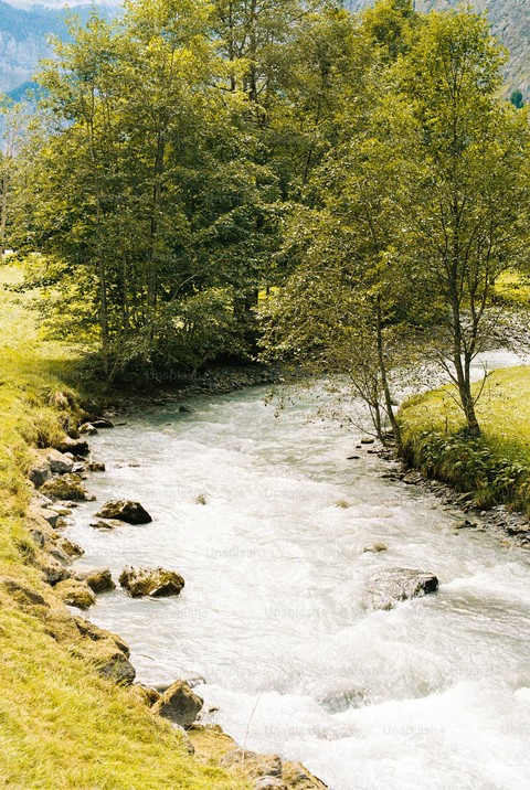 stream, Water Hintergrundbilder