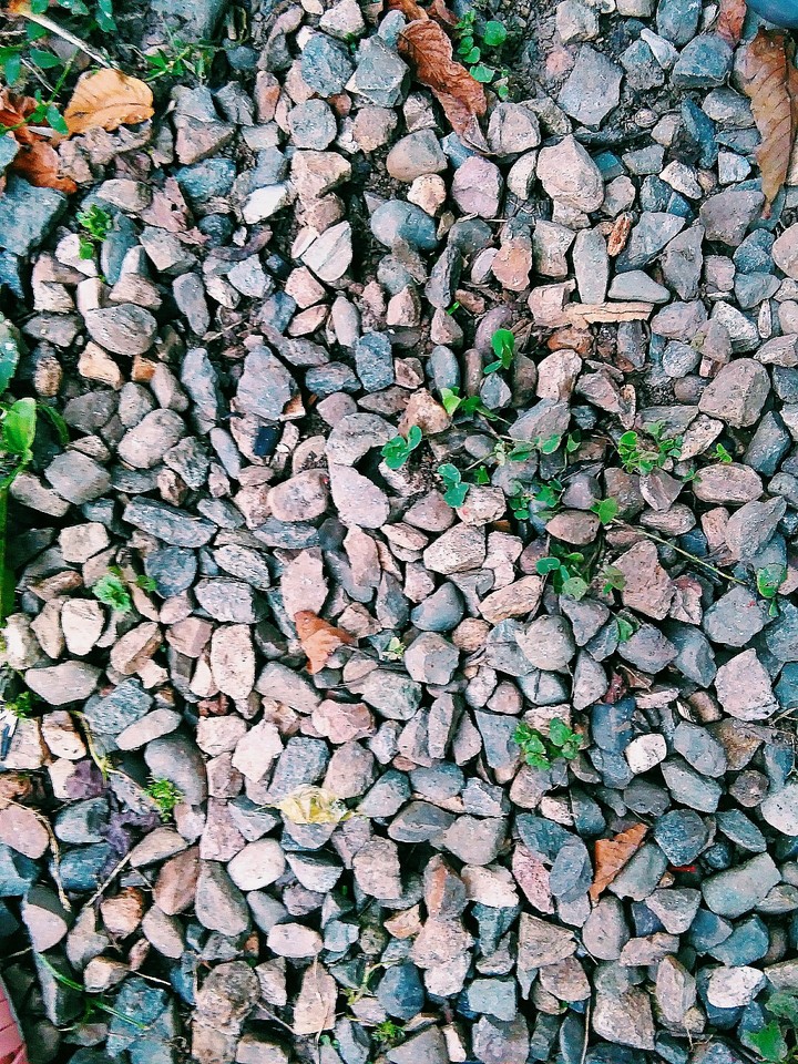 Pretty and Small Rocks>_<