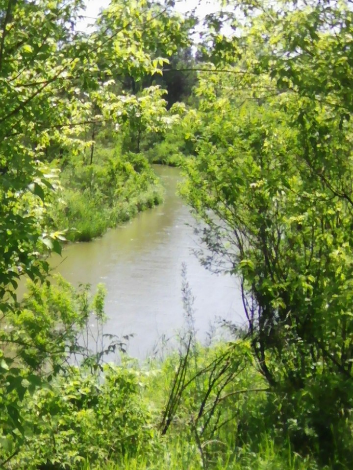 на реке