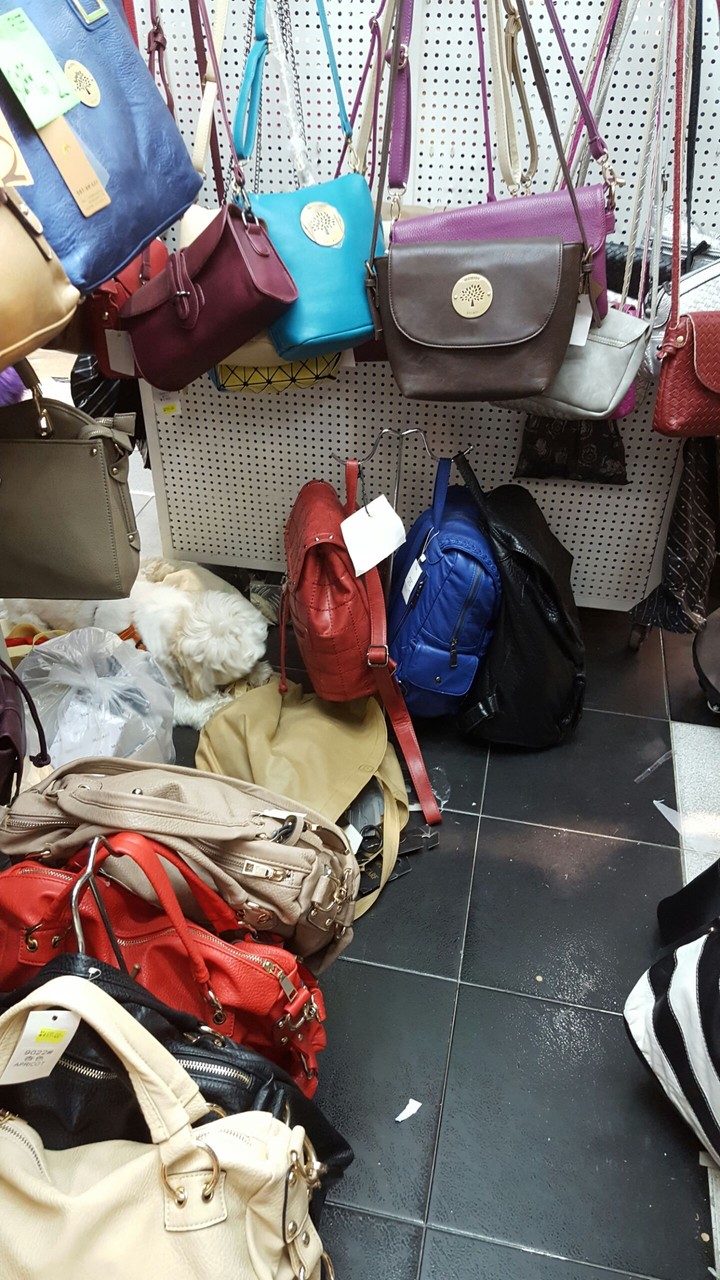 Dog in Purses