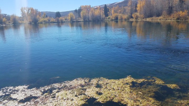 pond