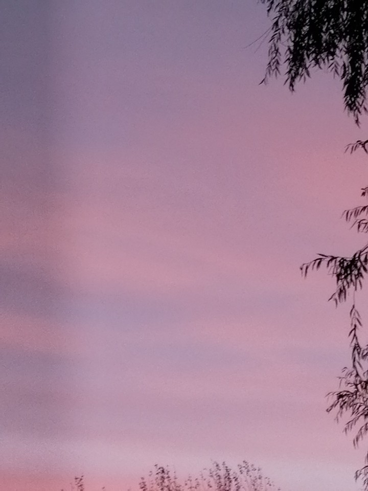 Morning sky