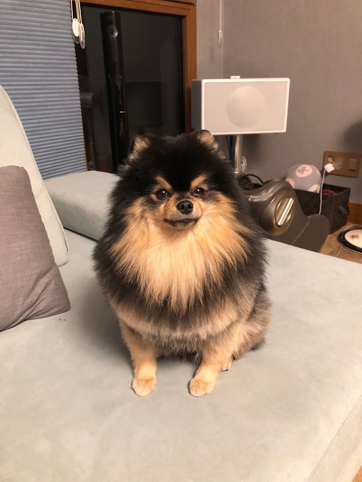 tani/연탄