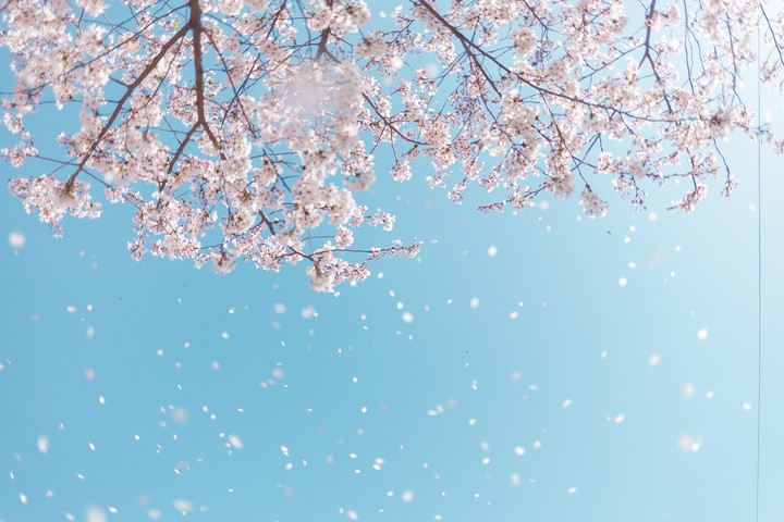 spring