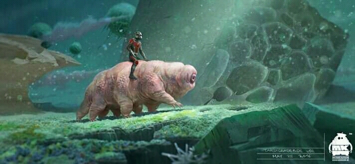 #Antman
