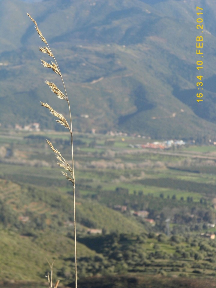 sur les haut de la montagne