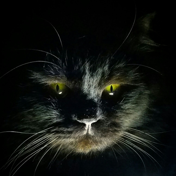 I see you