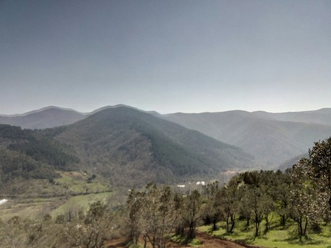 manzara