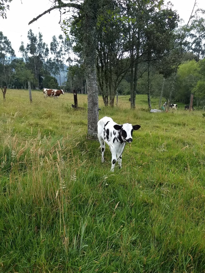 Colombia el mejor país del mundo
