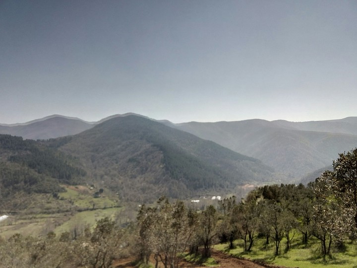 manzara