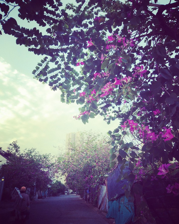on the way
