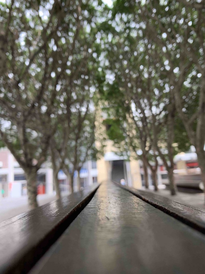 Surface and Bokeh ?
