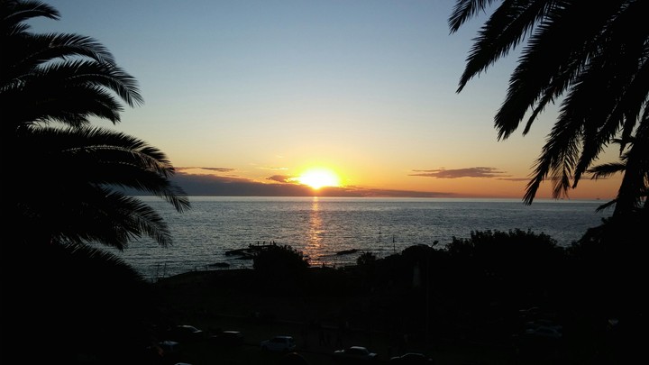 Atardecer entre las palmeras