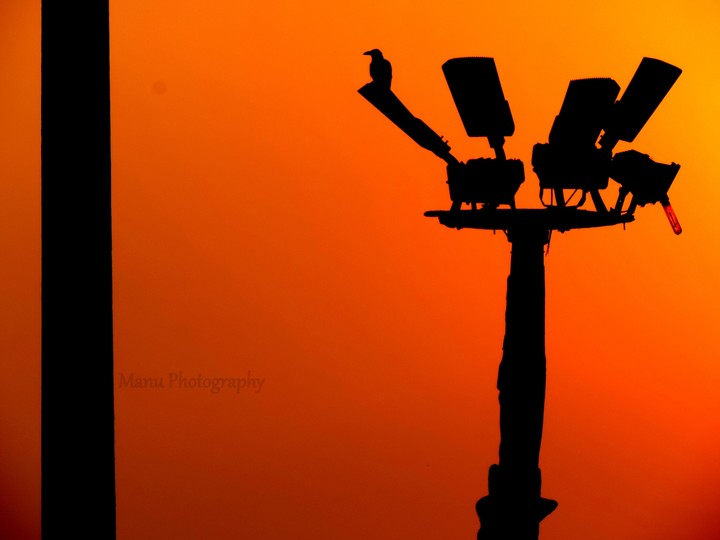 silhouette