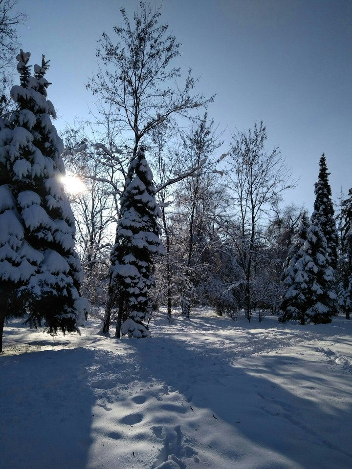 Winter
